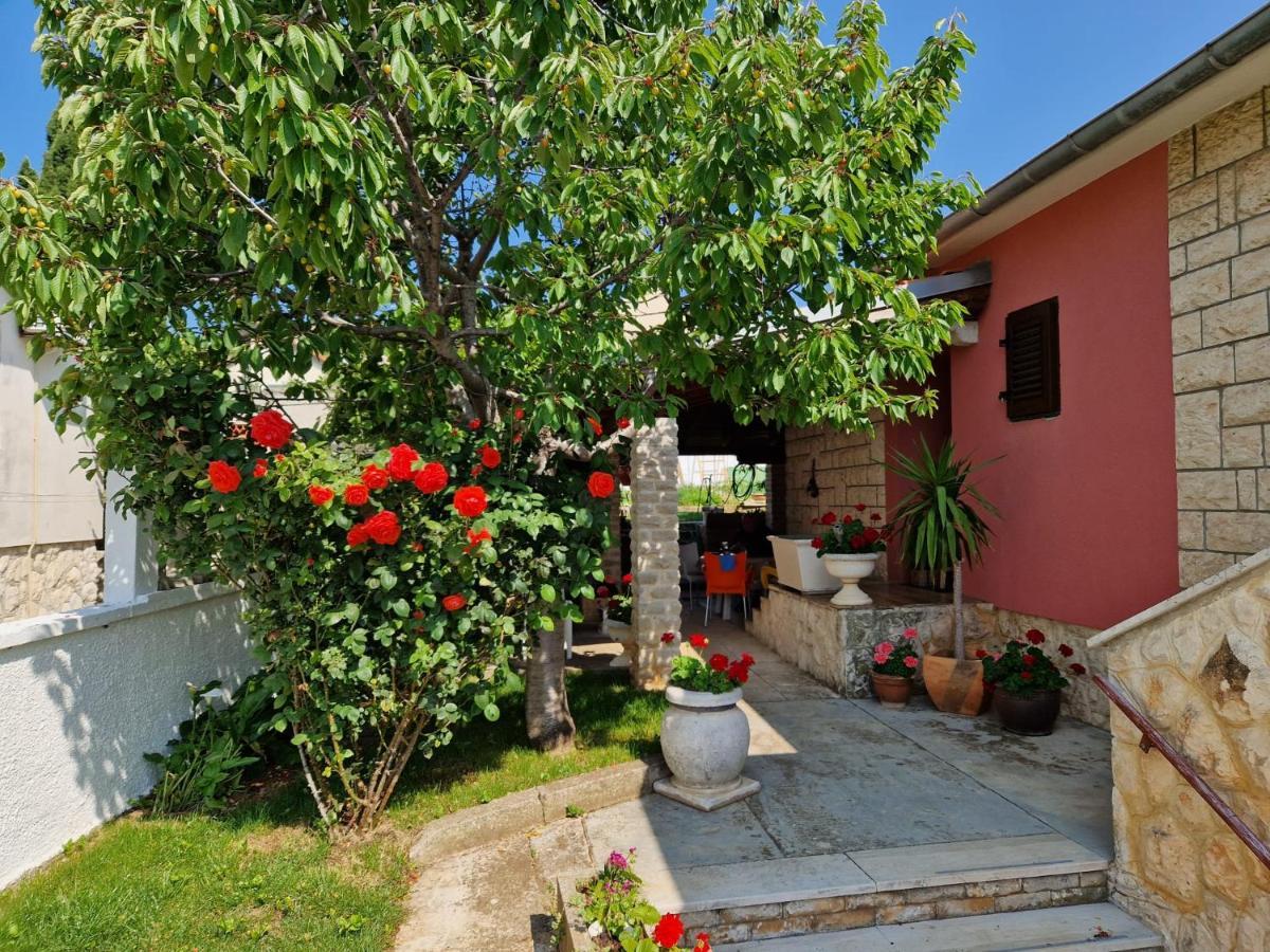 Zefir Apartments Premantura Zewnętrze zdjęcie